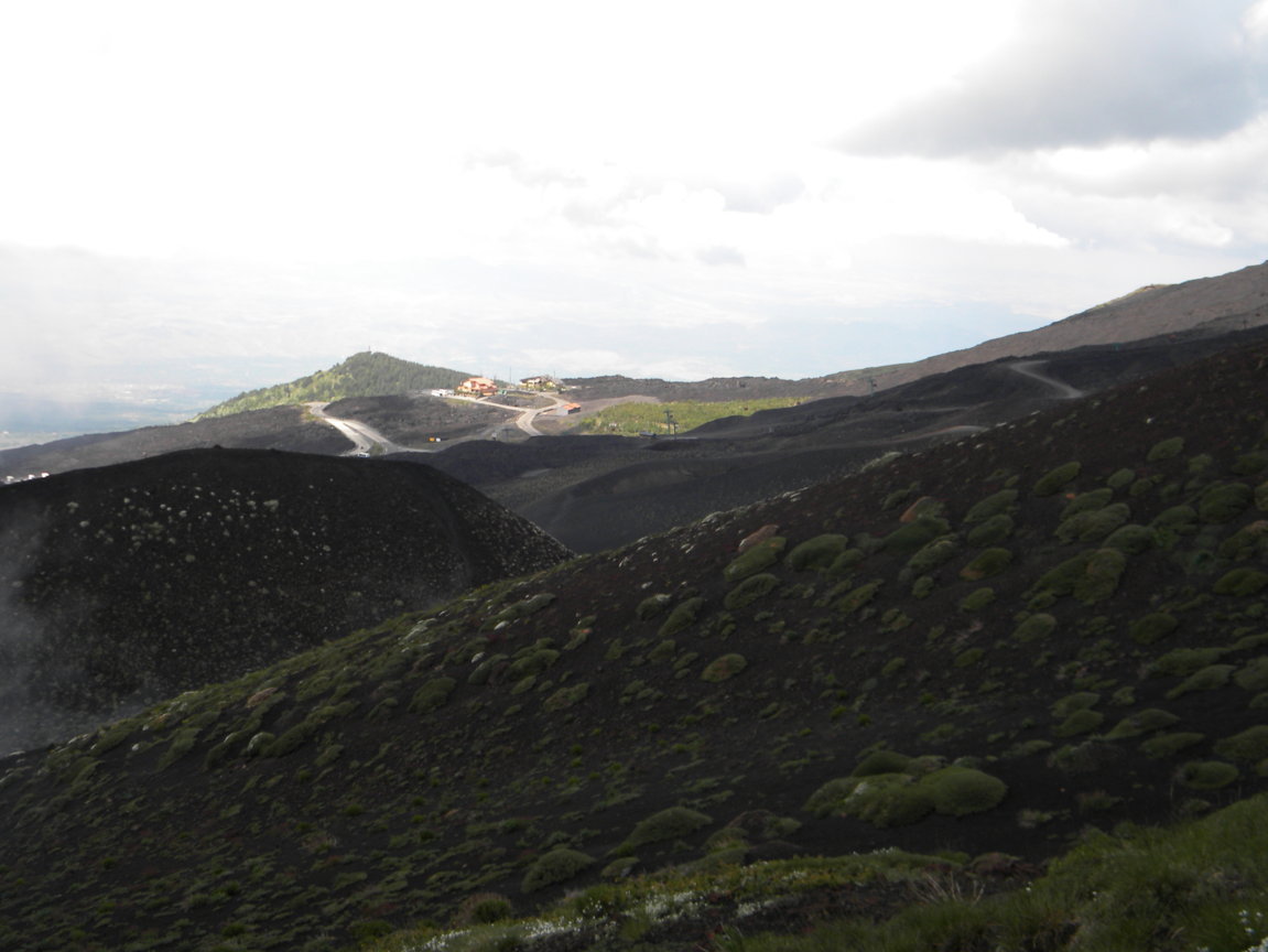 DSCN9524 .JPG